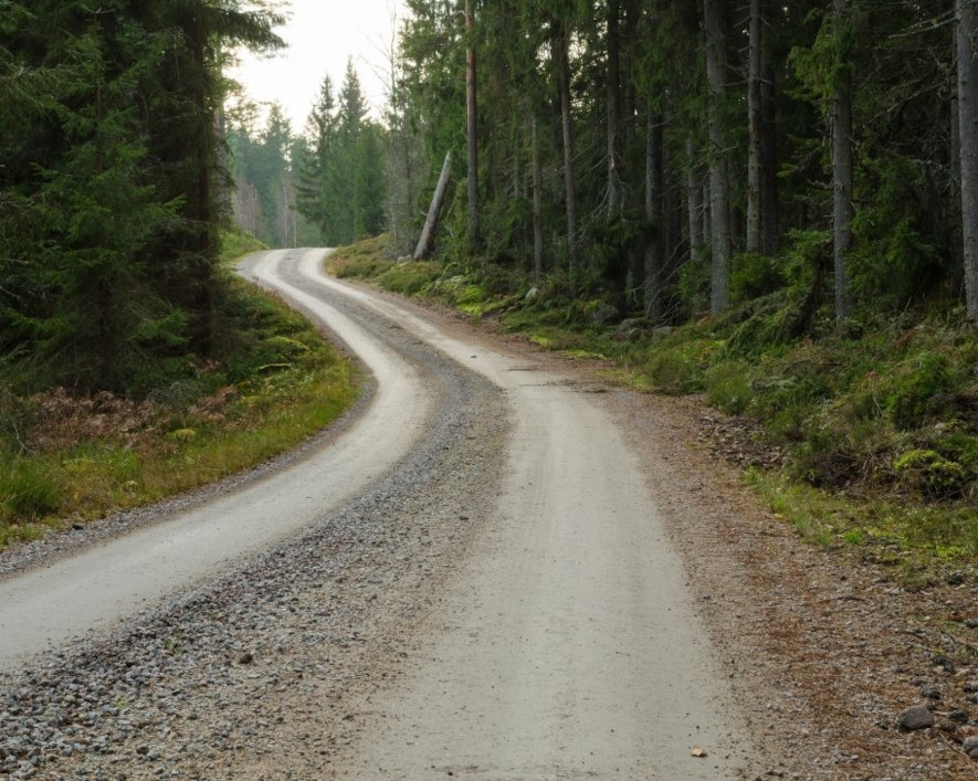 En typisk skogsbilväg i Sverige